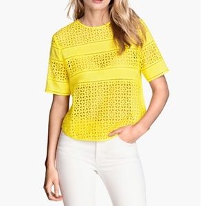 H&M yellow floral eyelet sheer front top